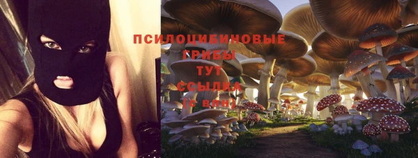 твердый Армянск