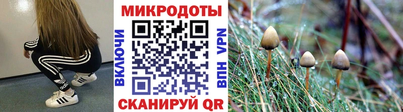 наркотики  Миасс  Галлюциногенные грибы GOLDEN TEACHER 
