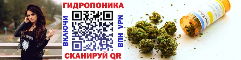 Бошки Шишки семена  KRAKEN   Миасс 